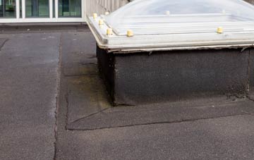 disadvantages of Lealholm Side flat roofs