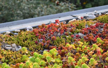 the cost of Lealholm Side green roof installation