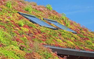 Lealholm Side living roof systems