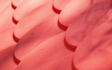 Lealholm Side plastic roof costs