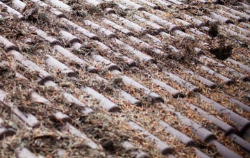 Lealholm Side roof cleaning companies